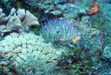 Riviera Maya Sailing